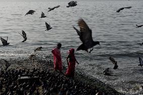 Daily Life In Mumbai