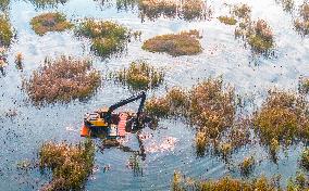 Hongze Lake Wetland National Nature Reserve in Suqian