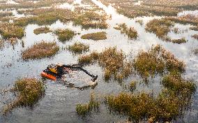 Hongze Lake Wetland National Nature Reserve in Suqian