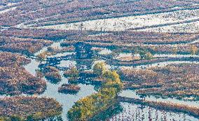 Hongze Lake Wetland National Nature Reserve in Suqian