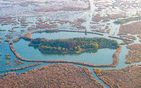 Hongze Lake Wetland National Nature Reserve in Suqian