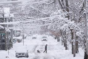First Significant Snowfall In Halifax - Canada