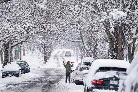 First Significant Snowfall In Halifax - Canada