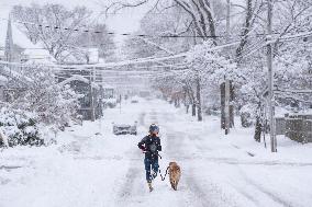 First Significant Snowfall In Halifax - Canada