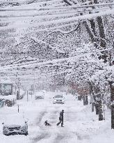 First Significant Snowfall In Halifax - Canada