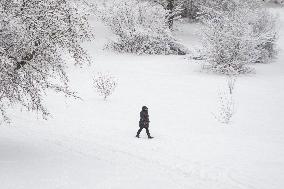 First Significant Snowfall In Ottawa - Canada