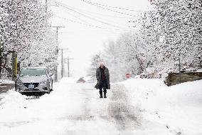 First Significant Snowfall In Ottawa - Canada