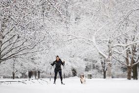 First Significant Snowfall In Ottawa - Canada