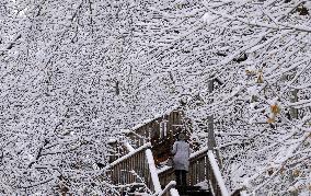 First Significant Snowfall In Ottawa - Canada