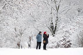 First Significant Snowfall In Ottawa - Canada