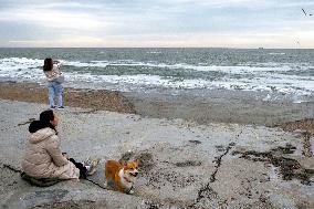 Odesa beaches in winter