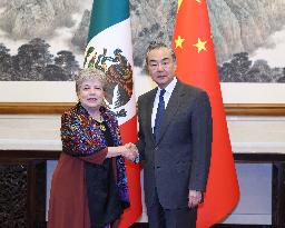 CHINA-BEIJING-WANG YI-MEXICO-FM-MEETING (CN)