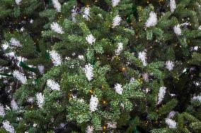 Christmas tree gets decorated in Kyiv