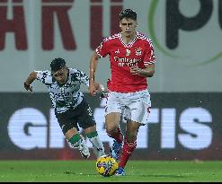 I Liga: Moreirense FC vs SL Benfica