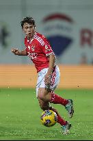 I Liga: Moreirense FC vs SL Benfica