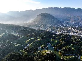 CHINA-HUBEI-HEFENG-TEA GARDEN-SCENERY (CN)