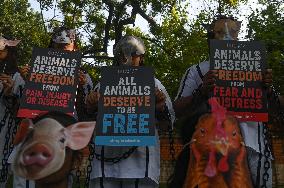India Animal Rights Day