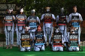India Animal Rights Day