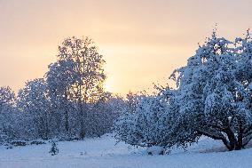 Winter weather