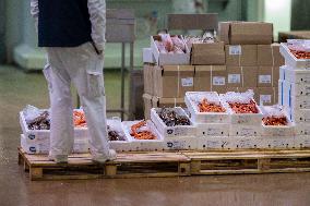 Rungis International Market - Southern Paris