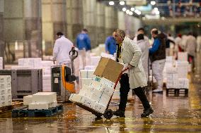 Rungis International Market - Southern Paris