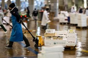 Rungis International Market - Southern Paris