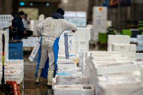 Rungis International Market - Southern Paris