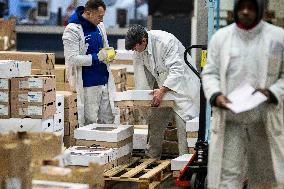 Rungis International Market - Southern Paris