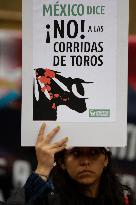 Bullfighting Returns To Plaza Mexico After Supreme Court Ruling