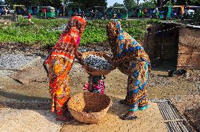 Organic Dried Fish Production - Bangladesh