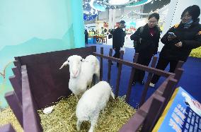 2023 Zhejiang Agriculture Expo in Hangzhou