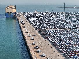 Vehicles Export in Yantai Port