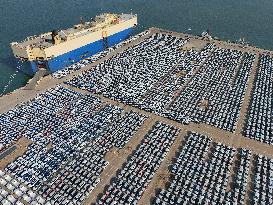 Vehicles Export in Yantai Port