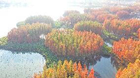 Yuweizhou Wetland Park in Nanchang