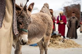 Living nativity at the Supreme Court