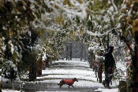 ROMANIA-BUCHAREST-SNOWFALL