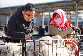 Agricultural and Livestock Products Trading Market in Ordos