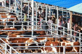 Agricultural and Livestock Products Trading Market in Ordos