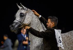 World Arabian Horse Championship 2023