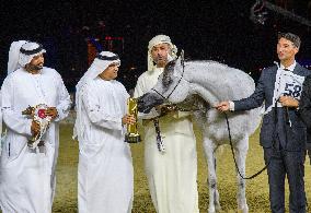 World Arabian Horse Championship 2023