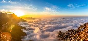 Tourist Enjoy Jinfo Mountain in Chongqing