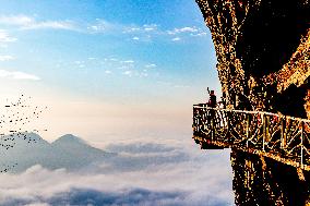 Tourist Enjoy Jinfo Mountain in Chongqing