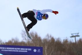 (SP)CHINA-ZHANGJIAKOU-FIS SNOWBOARD WORLD CUP-MEN'S HALFPIPE (CN)