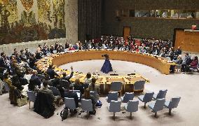UNSC votes on humanitarian cease-fire demand