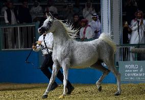 World Arabian Horse Championship 2023