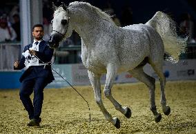 World Arabian Horse Championship 2023