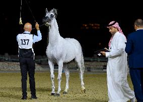 World Arabian Horse Championship 2023