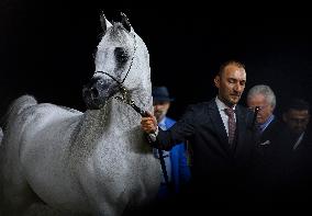 World Arabian Horse Championship 2023