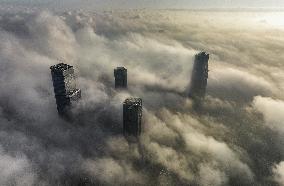 High-rise Buildings Shrouded in Mist