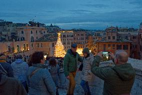 Rome 8 December Christmas Tree Dior